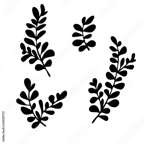 Vector set of cute small branches. Hand drawn botanical elements for design