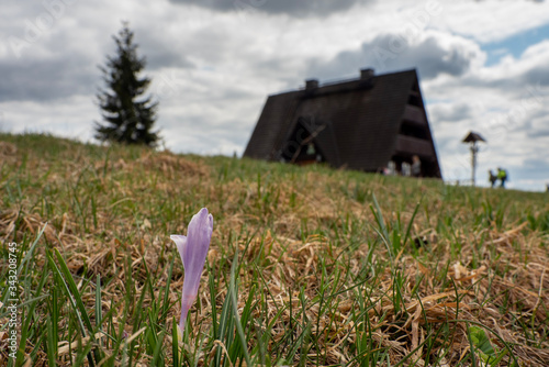 Fototapeta Naklejka Na Ścianę i Meble -  Krawcow Wierch beatiful lanscape view Beskid Zywiecki