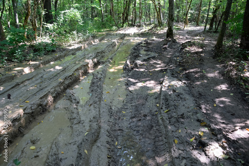 Dirty blurred forest road with deep rut. photo