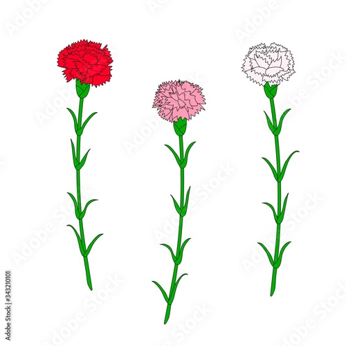 Red, white and pink carnation set. Flower outlines isolated on white. Floral contour. Botanical illustration. Symbol for mothers day. Vector