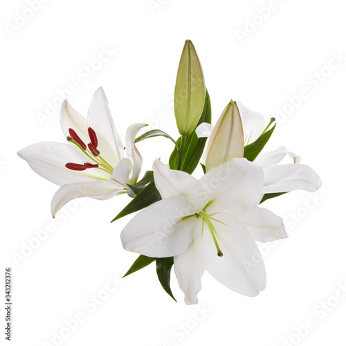 Bouquet of light lilies isolated on white background. © vetre
