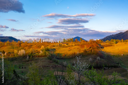 Beautiful Landscape with sunset light and blooming trees