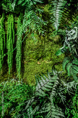 Vegetal forest wall for patterns and textures