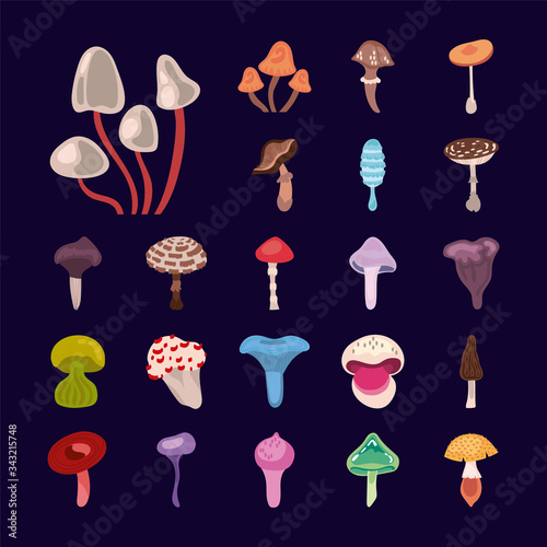 bundle of fungus set icons