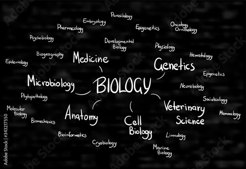 modern byology category science vector concept word lettering hand writing