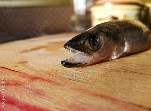 smelt fish closeup