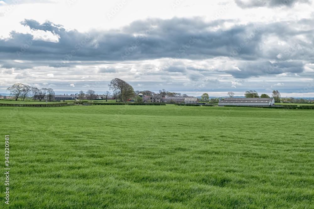 Scotland's Ayrshire Farmlands with Treelined hedges and a Cloudy Sky