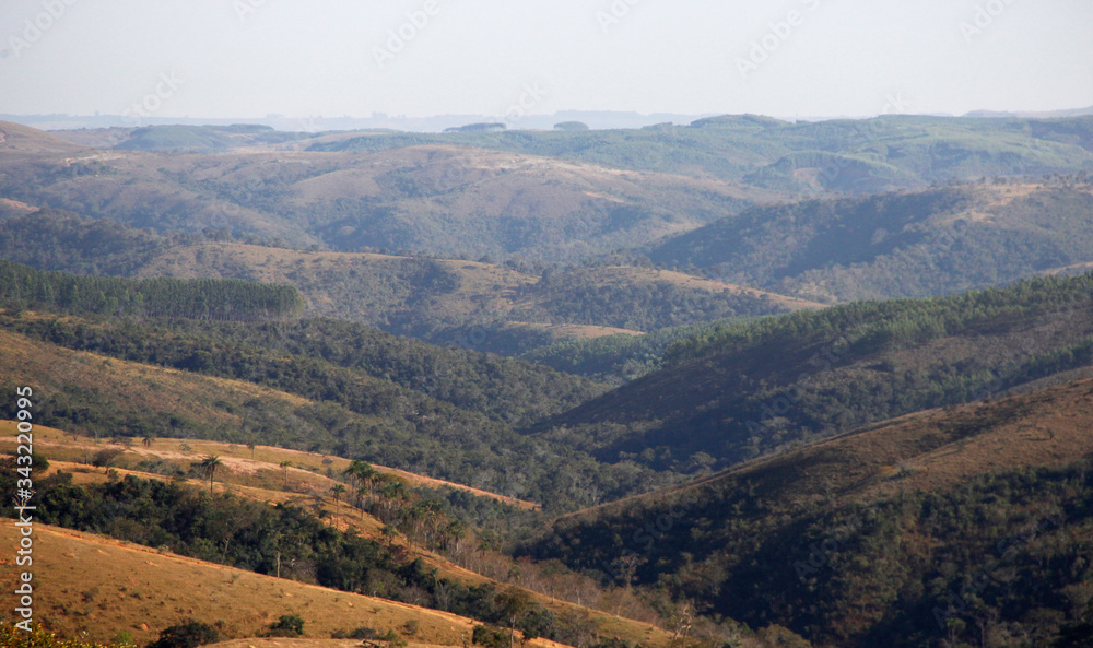 Naklejka premium SW - CERRADO 57