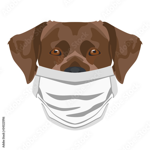 Illustration Hund Labrador mit Atemschutzmaske