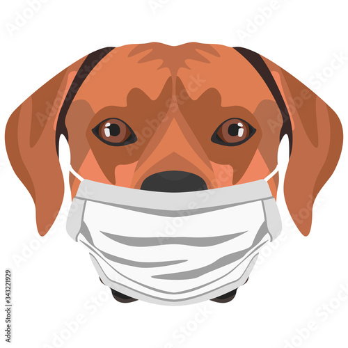 Illustration Hund Rhodesian Ridgeback mit Atemschutzmaske