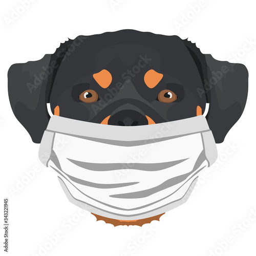 Illustration Hund Rottweiler mit Atemschutzmaske