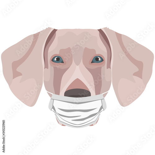 Illustration Hund Weimaraner mit Atemschutzmaske