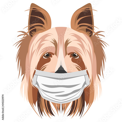 Illustration Hund Yorkshire Terrier mit Atemschutzmaske
