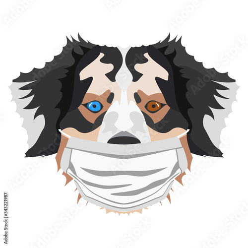 Illustration Hund Australian Shepherd mit Atemschutzmaske