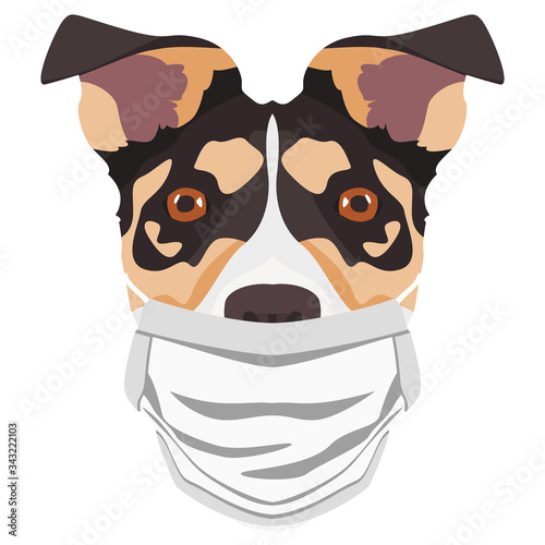 Illustration Hund Jack Russel Terrier mit Atemschutzmaske