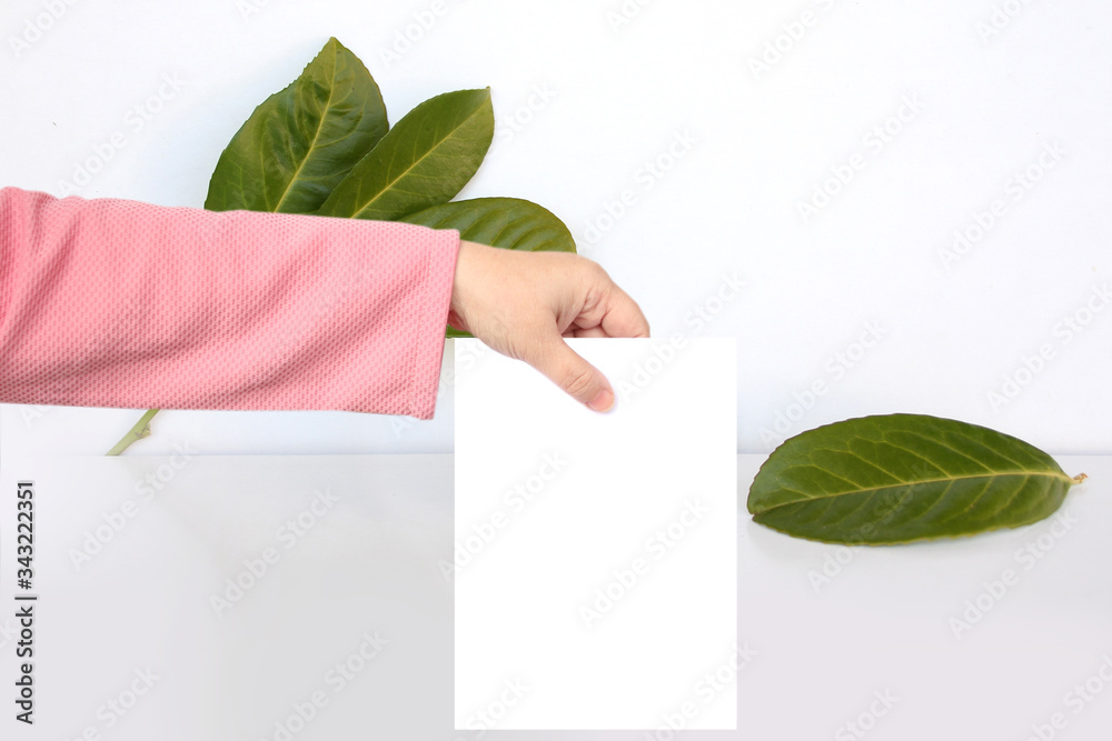 woman holds white blank sheet of paper for message on a background with green leaves woman holds white blank sheet of paper for message on a background with green leaves