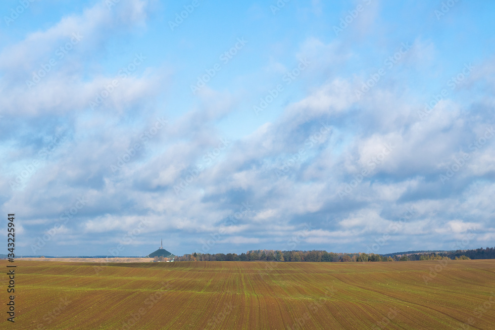 Plowed field with green sprouts on a background of blue sky