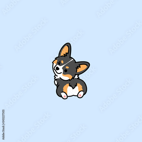Cute corgi tricolor dog looking back and winking, vector illustration