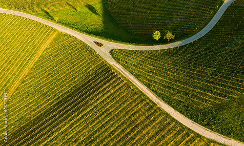 South styria vineyards aerial panoram landscape, Grape hills view from wine road in spring. photo