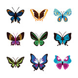 bundle of butterflies set icons