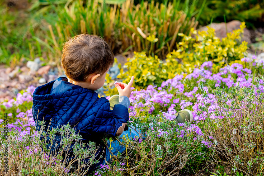 little todler playing with flowers in the garden little todler playing with flowers in the garden