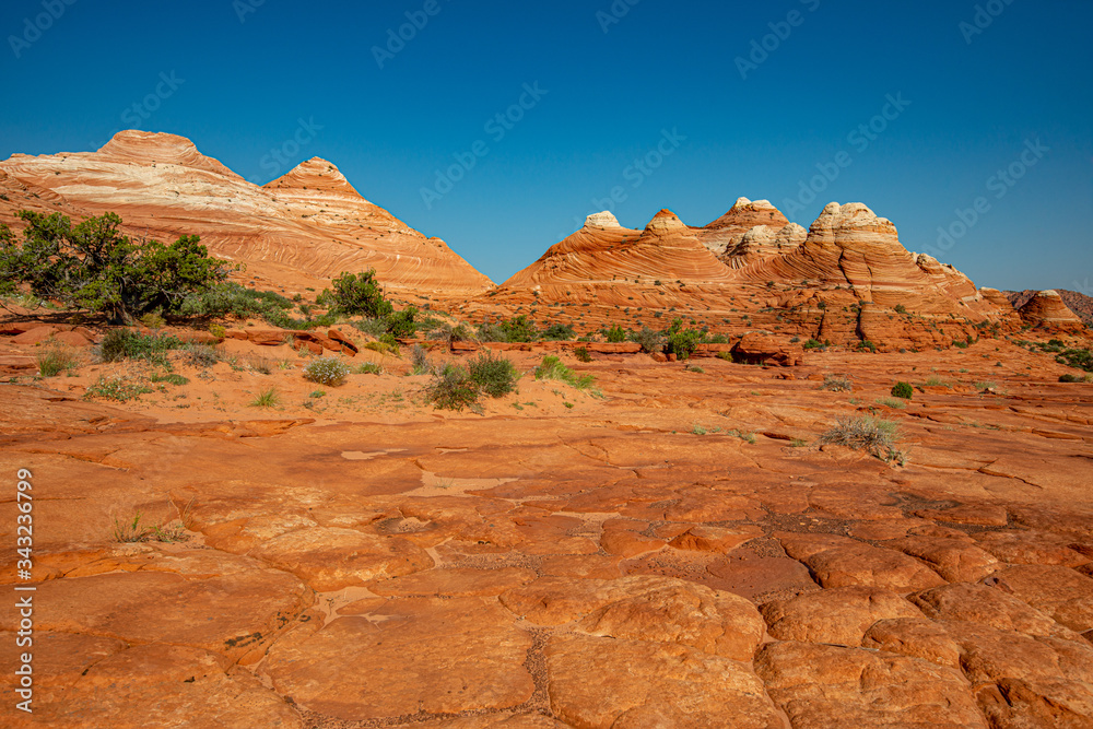 Arizona Wave - Famous Geology rock formation in Pariah Canyon Arizona Wave - Famous Geology rock formation in Pariah Canyon