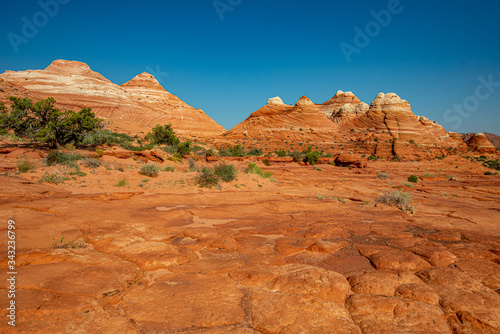 Arizona Wave - Famous Geology rock formation in Pariah Canyon photo