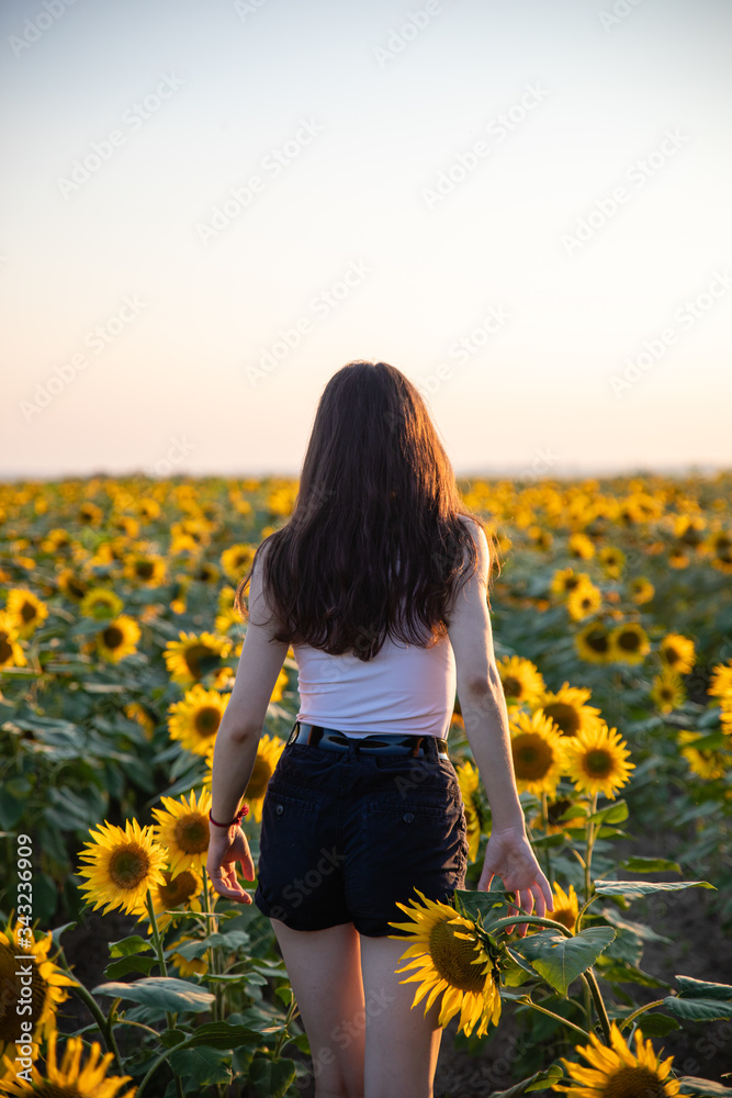 Young caucasian girl with long dark hair and white t-shirts in summer sunflower field, looking happy, summer concept, morning joy Young caucasian girl with long dark hair and white t-shirts in summer sunflower field, looking happy, summer concept, morning joy