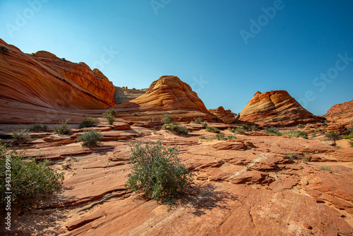 Fototapeta Naklejka Na Ścianę i Meble -  Arizona Wave - Famous Geology rock formation in Pariah Canyon