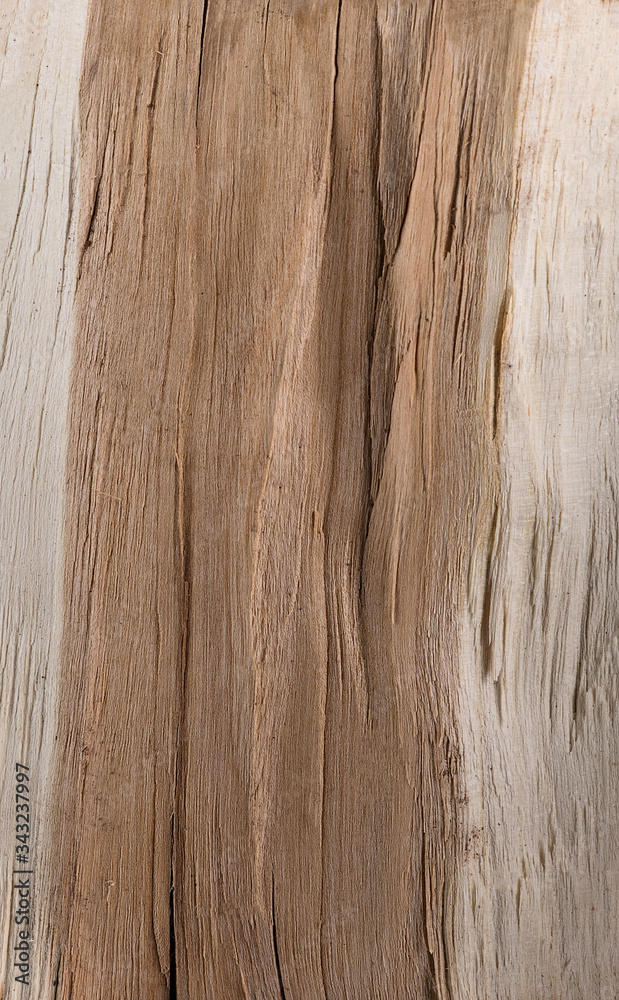 Naklejka premium The texture of the wood grain slice of a tree trunk, firewood and lumber from stone