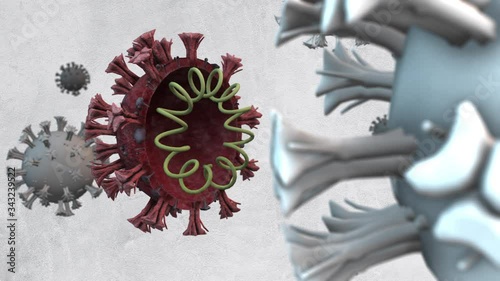 Coronavirus covis19 MERS structure section slide Sx - 3D coronavirus in a white background photo