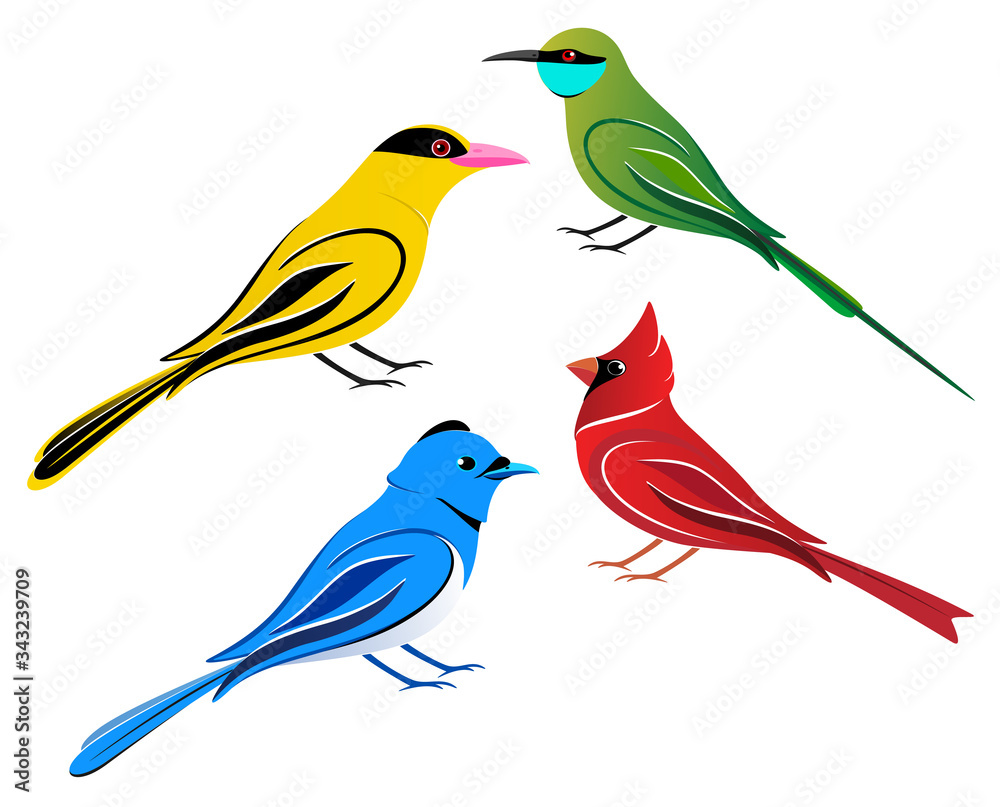 Obraz premium Birds
