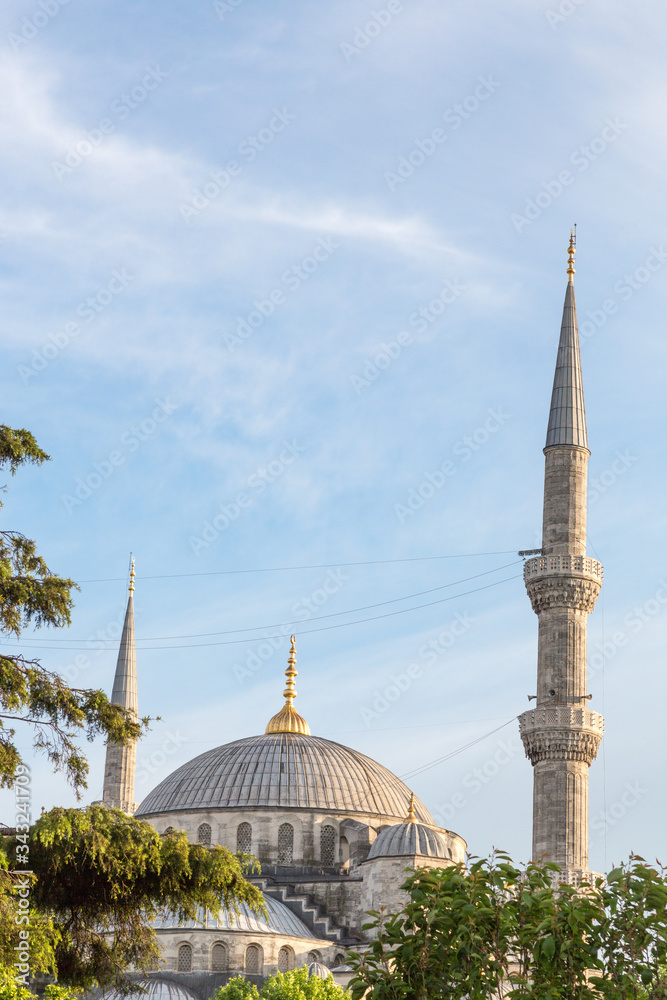 Santa Sofia Cathedral in Istambul, Turkey