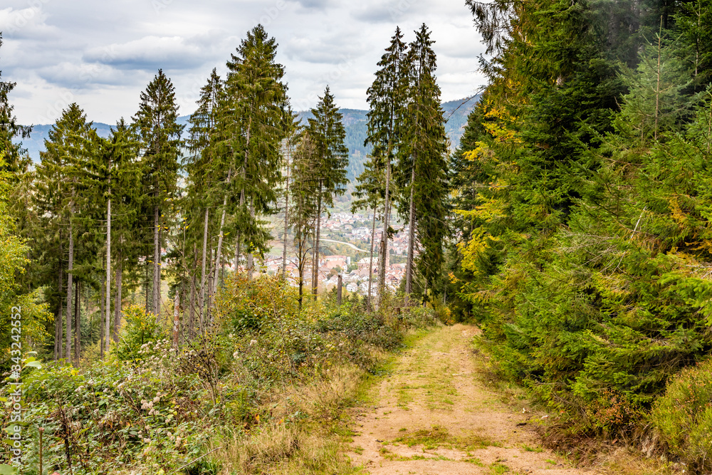 Obraz premium Trail with City view of Forbach village and Black forest trees