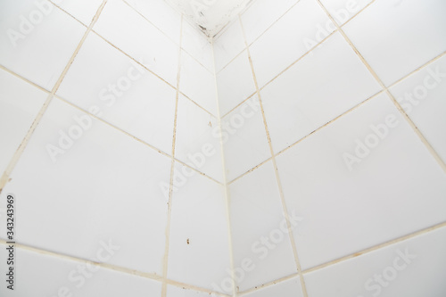 Mold or fungus of the wall in the Shower room causing black or brown mold in the bathroom or toilet room caused by the hot water and accumulation of bacteria.