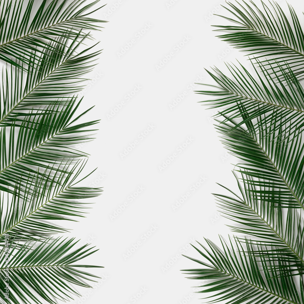 Tropical palm leaves border frame on abstract white background isolated. Invitation template.