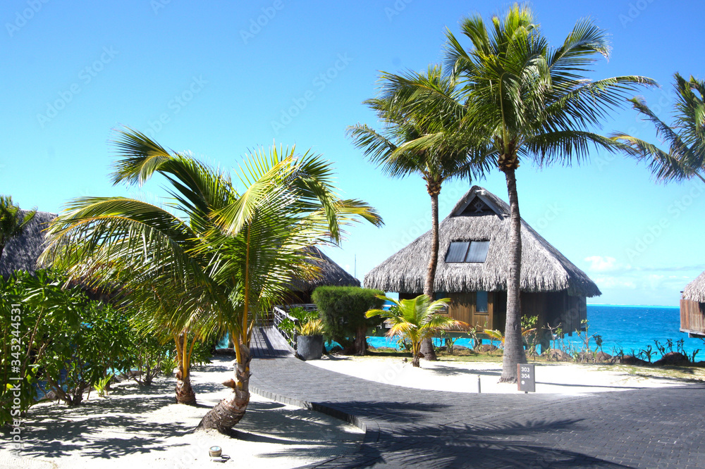 Obraz premium Beautiful overwater bungalow on a tropical beach with palm tree and blue sky for travel in luxury holiday relax time in french polynesia, Tahiti, Bora Bora