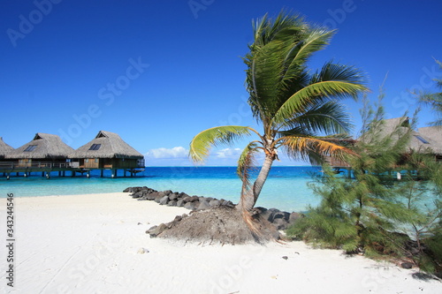 Beach with white sand and coco palm travel tourism wide panorama background concept with over water bungalows.