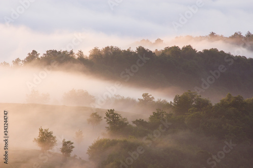 foggy nature landscape, breathtaking morning view on slopes of Carpathian mountains at morning sunrise sunlight and fog over valley, amazing nature summer landscape, Europe, Carpathians, Ukraine