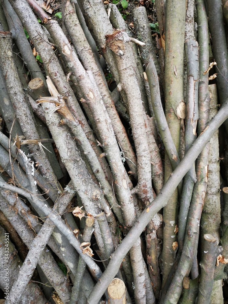 Stacked, cut trunks of trees Stacked, cut trunks of trees