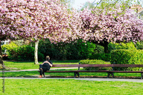 A lonely man sitting in the park on a sunny day practicing social distancing with a facemask during the Corona Virus pandemic.