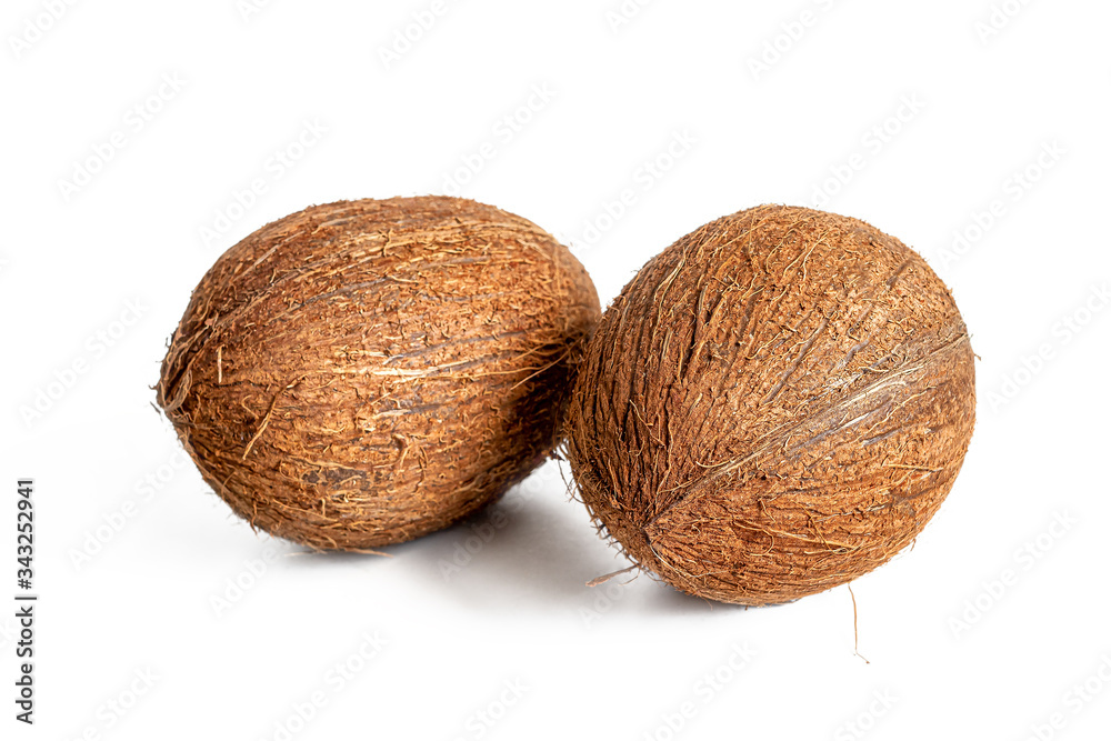 Brown coconuts with a fibrous shell on a white background Brown coconuts with a fibrous shell on a white background