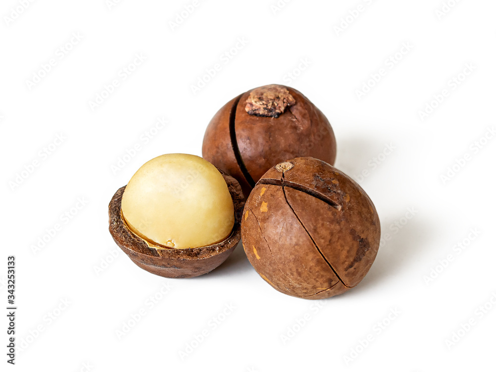 Three Australian macadamia nuts on white Three Australian macadamia nuts on white