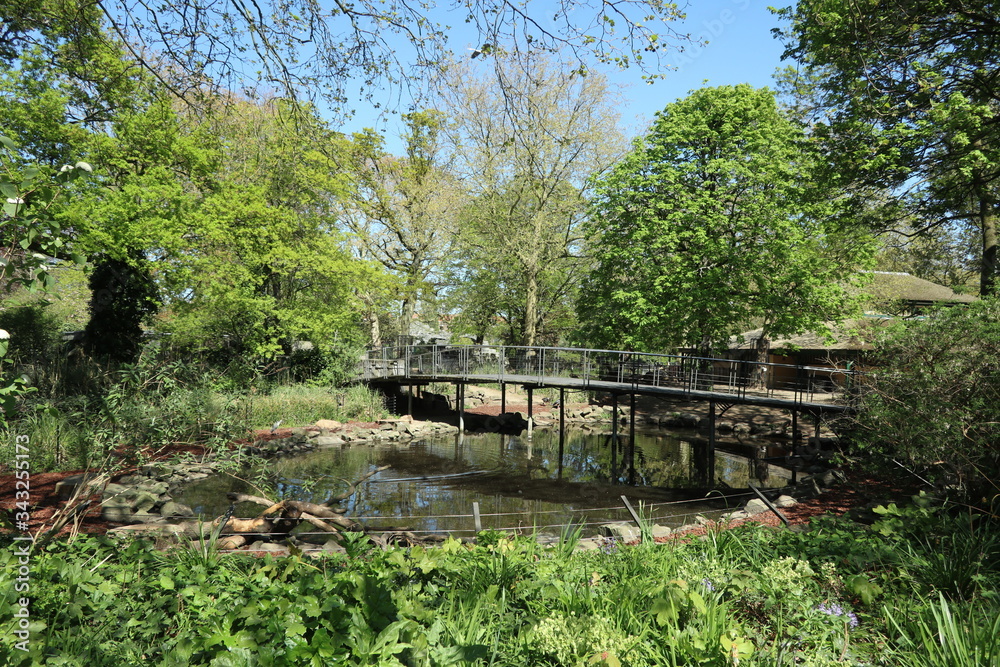 Fototapeta premium view of sun lighted lush greenery, Amsterdam zoo park