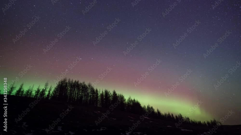 Aurora borealis (Northern lights) timelapse in Iceland with stunning green and purple colors with trees in foreground. Aurora borealis (Northern lights) timelapse in Iceland with stunning green and purple colors with trees in foreground.