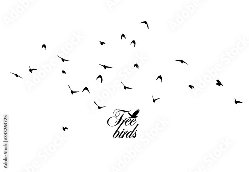 A flock of flying silhouette birds. Vector illustration