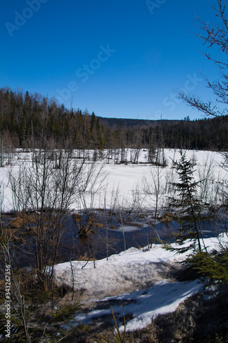 Rivière printanière en forêt canadienne, au Québec