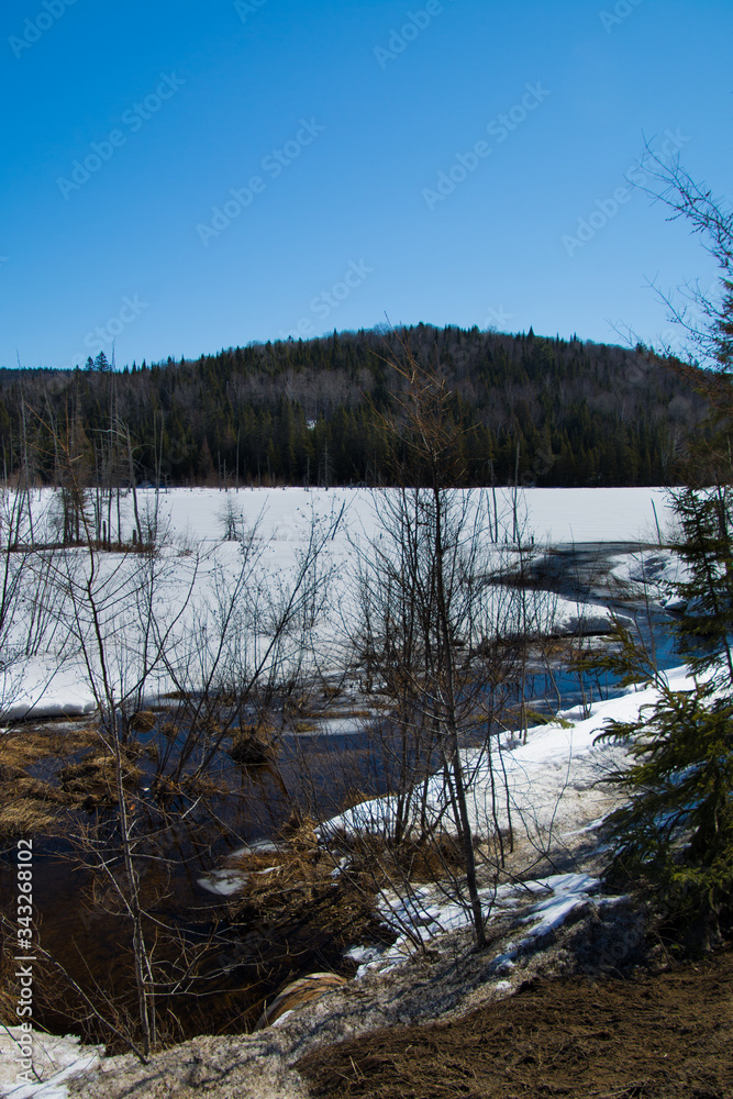 Rivière du printemps en forêt canadienne, au Québec Rivière du printemps en forêt canadienne, au Québec