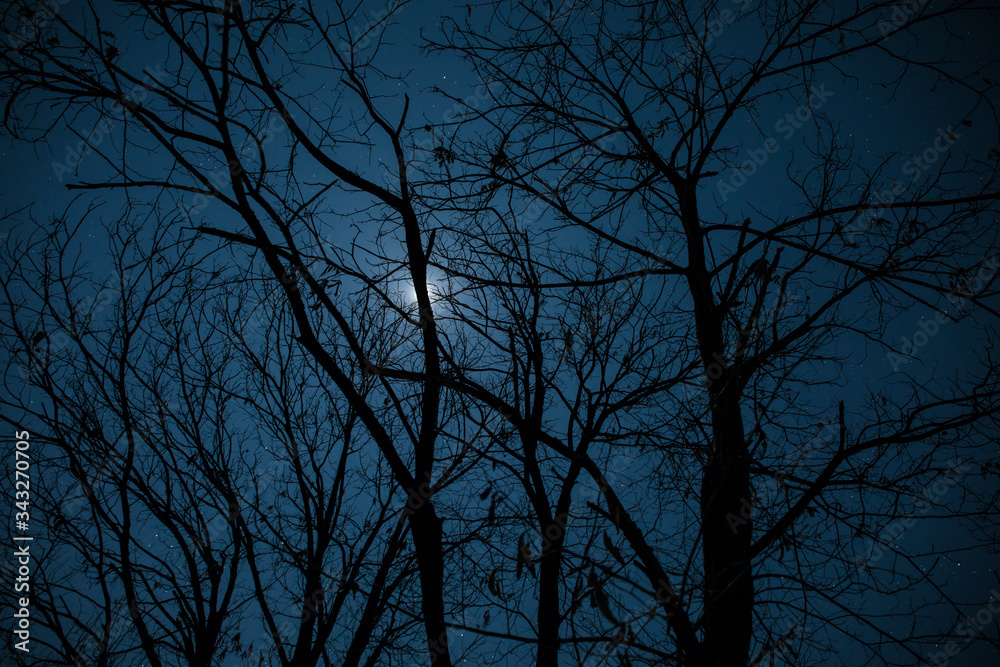 Full moon over quiet village at night. Beautiful night landscape of old town street with lights Full moon over quiet village at night. Beautiful night landscape of old town street with lights