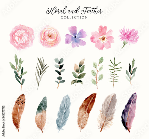 watercolor floral and feather collection